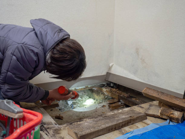 Best Air Quality Testing for Mold Spores  in Eastvale, CA