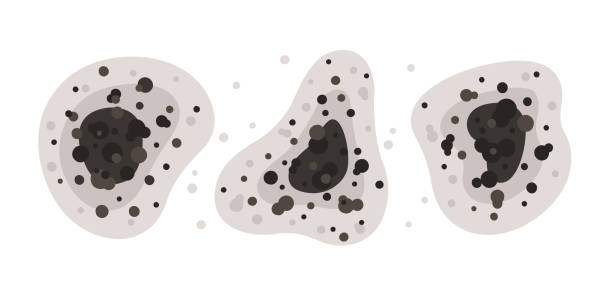 Best Mold Prevention Services  in Eastvale, CA